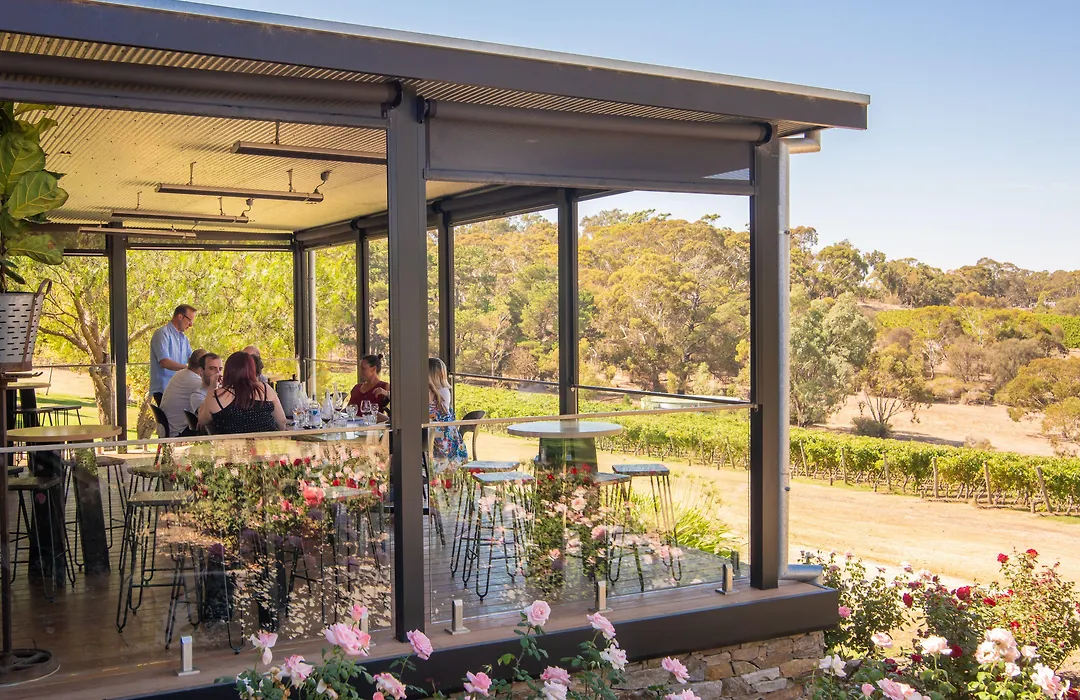 Longview Vineyard-1